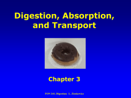 Digestion PP - use for review