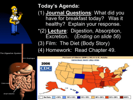 Lecture I (PowerPoint) "Digestion, Absorption & Excretion"