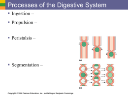 Ch14-1 Digestive Pt2 Notes