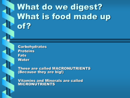 What do we digest? What is food made up of?