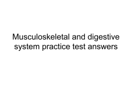 Musculoskeletal and digestive system practice ans