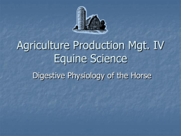 Horse Science digestive physiology (student notes)