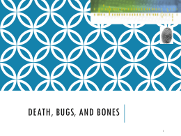 Death and Bugs PPT