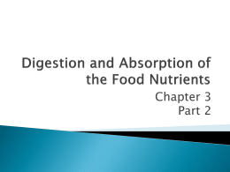 Digestion, Absorption, and Transport