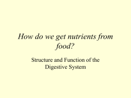 How do we get nutrients from food?