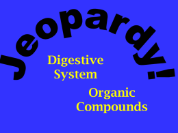 Digestive system jeopardy review game