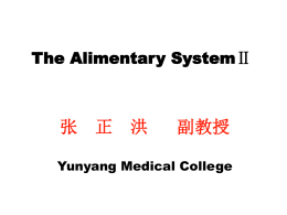 Alimentary system2