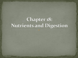 Chapter 18: Nutrients and Digestion