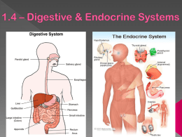 1.4 Human Organs & Systems digest & endocrine