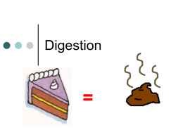 Digestion - Resources