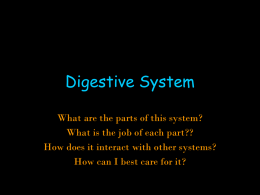 H.BS.Digestive System Ppt
