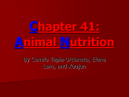 Chapter 41: animal nutrition