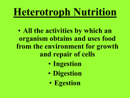 Nutrition PowerPoint Presentation