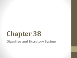 Chapter 38 - Midway ISD