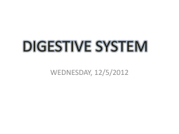 DIGESTIVE AND URINARY SYSTEMS