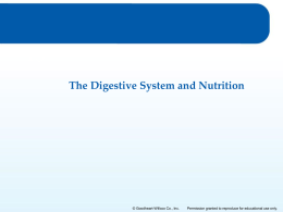 Digestive system notes