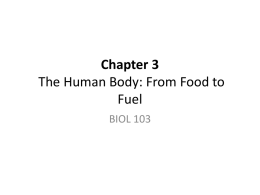 BIOL103 Ch 3 Human Body_for Students