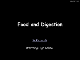 Digestion Powerpoint - School