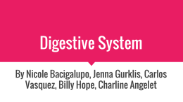 AP Digestive System