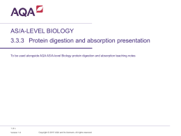 GCE Biology Protein digestion and absorption