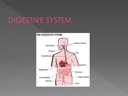 DIGESTIVE SYSTEMx