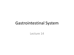 Gastrointestinal System