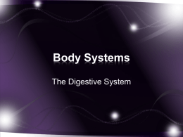 Body Systems - mrhebert.org