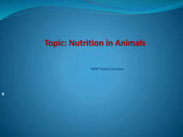 Topic: Nutrition in Animal - Study Hall Educational Foundation