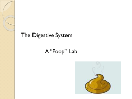 The Poop Labx