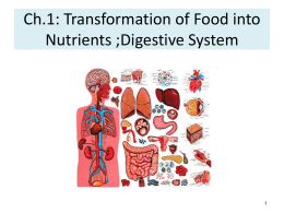 Ch.1: Transformation of Food into Nutrients