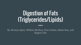 Digestion of Fats (Triglycerides/Lipids)