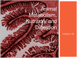 Animal Metabolism, Nutrition, and Digestion