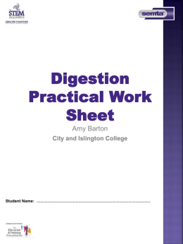 Digestion Practical Work Sheet