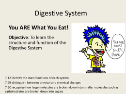 Digestive and Excretory Systems - Flipped Out Science with Mrs