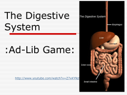 The Digestive System - Laing Middle School