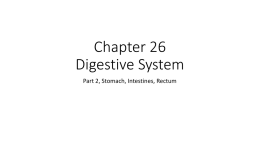 Chapter 26-Part 2-Digestive System