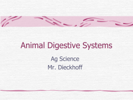 Digestive System Notes - Harrisonville Schools