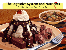 The Digestive System and Nutrients