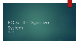 EQ Sci II * Digestive System