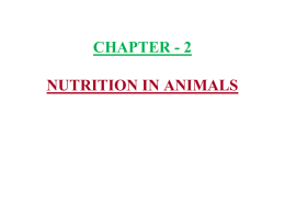 CHAPTER - 2 NUTRITION IN ANIMALS 1) Animal nutrition