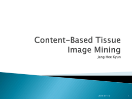 Content-Based Tissue Image Mining
