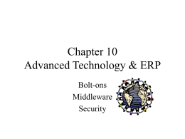 Chapter 10 Advanced Technology & ERP