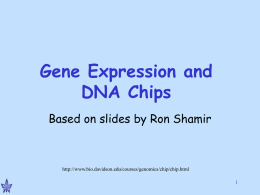 Gene Expression and DNA Chips