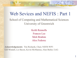 Web Sevices and NEFIS : Part 1