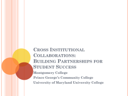 Cross Institutional Collaborations: Building Partnerships