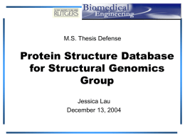 MS Thesis Summary: Protein Structure Database for