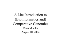 A Lite Introduction toComparative Genomics