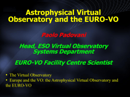 Astrophysical Virtual Observatory and the EURO-VO