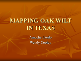 mapping oak wilt in texas - The University of Texas at San Antonio