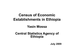 Planning and Organization of Economic Censuses in Ethiopia